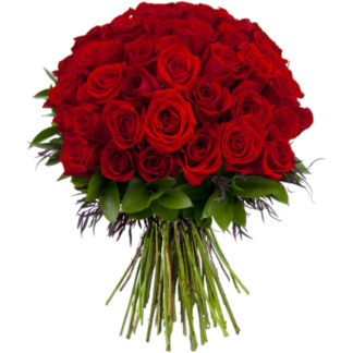 51 red roses | Flower Delivery Korolyov